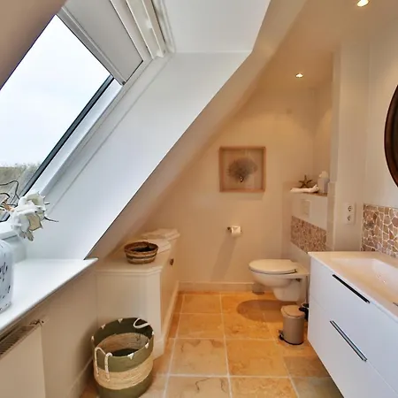 Seepferdchen Hörnum